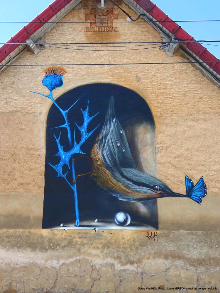 La sittelle