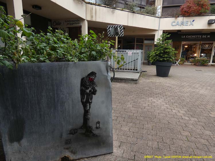La rebelle