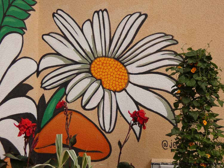 Pinocchio & guadeloupéenne