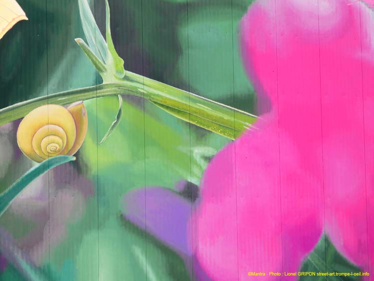 Papillon butinant