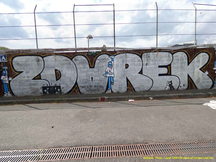 Zdarek street