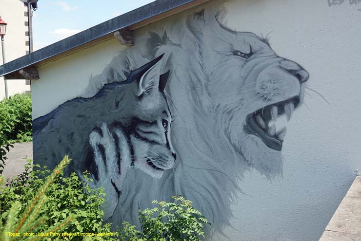 Le roi des chats