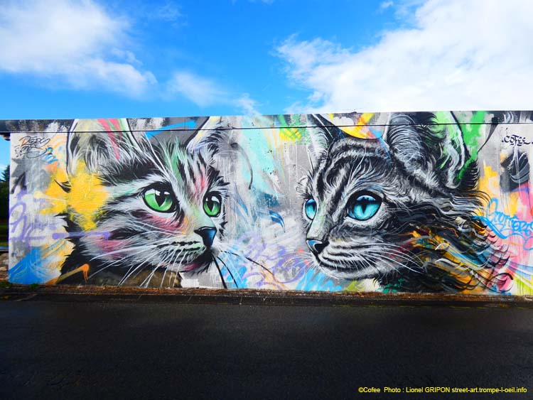Duo de chats