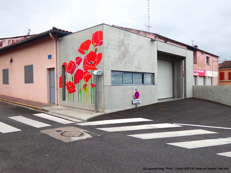 Champ de coquelicots
