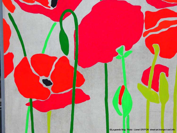 Champ de coquelicots