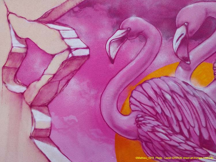 Flamants roses