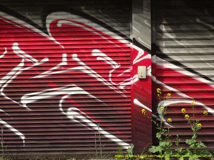 Montreuil-14