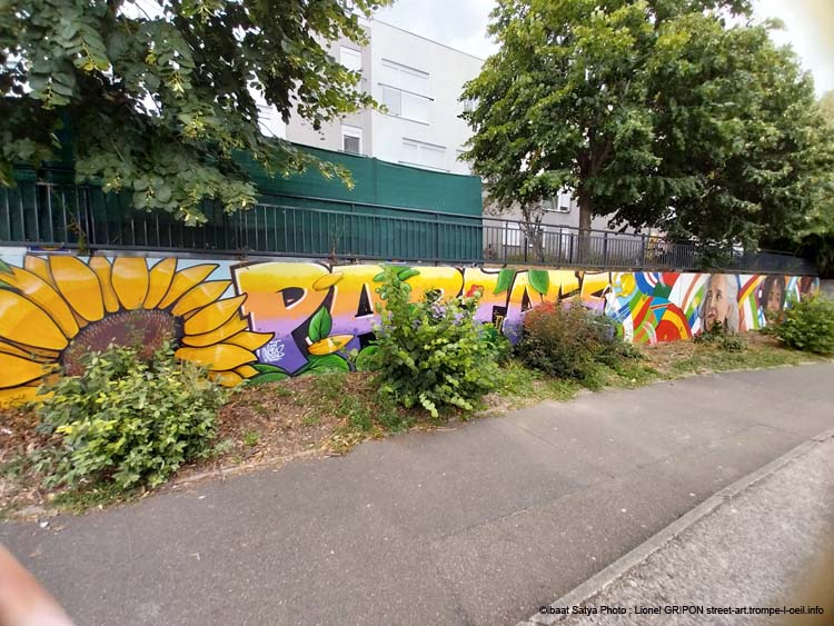 Chanteloup les Vignes-02