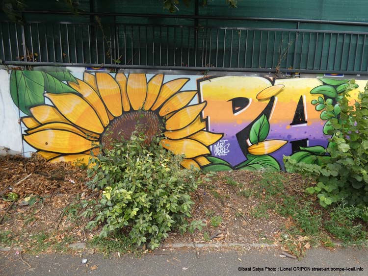 Chanteloup les Vignes-02