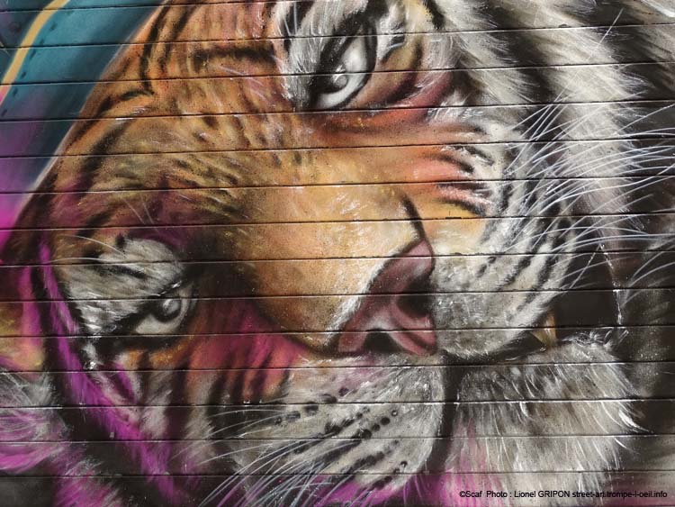 Tigre allongé