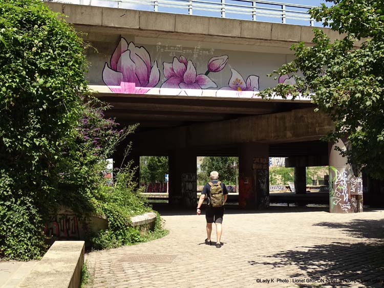 Fleurs et équations