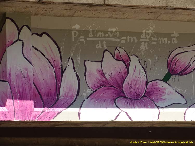 Fleurs et équations