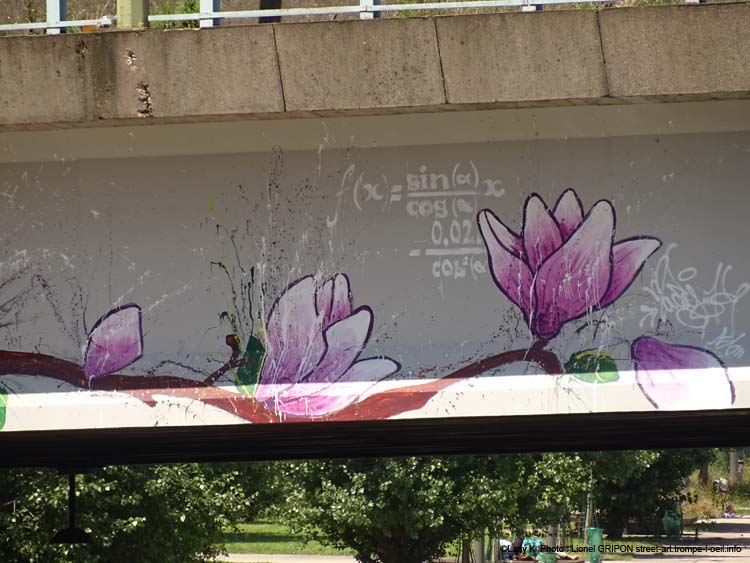 Fleurs et équations