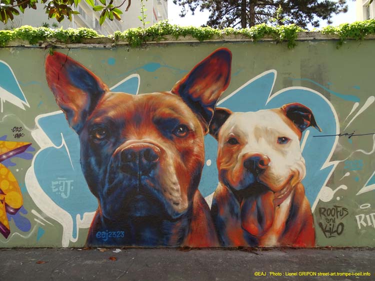 Roofus & Kilo