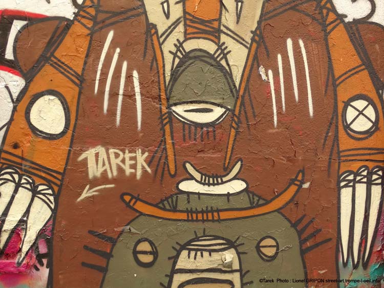 Insectes imaginaires-04