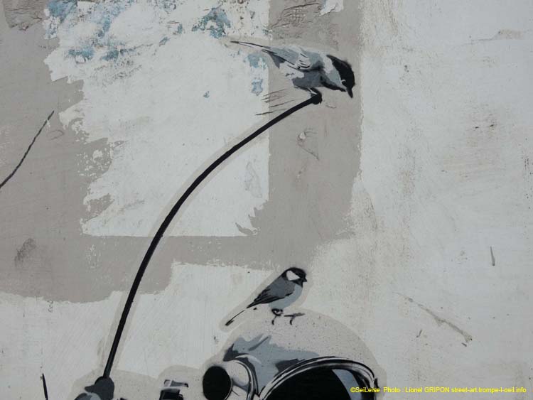 Astronaute et oiseaux