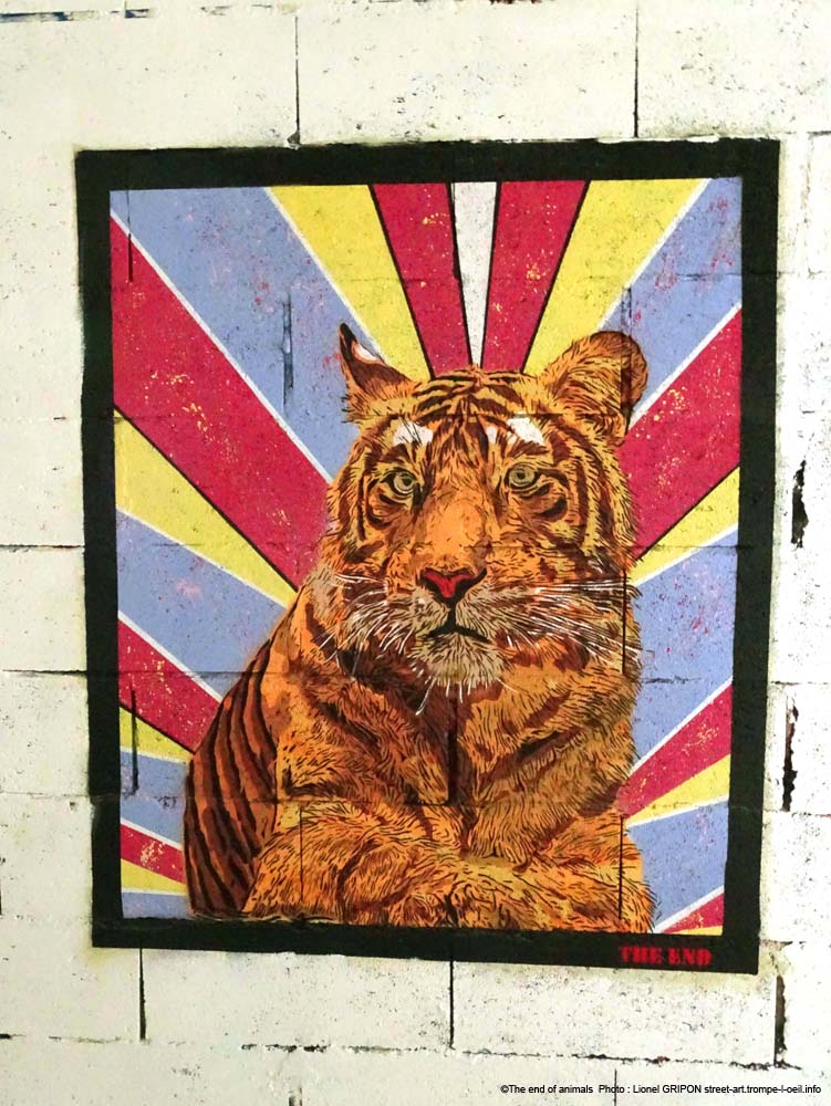 Tigre du Bengale-02