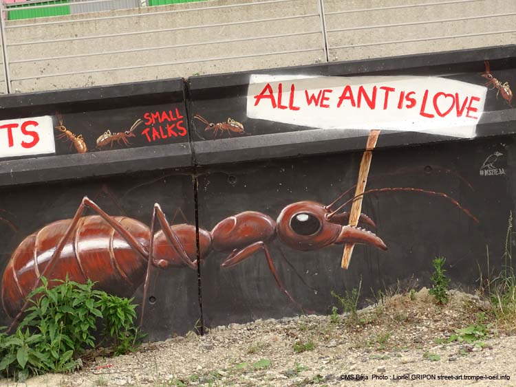Révolte des fourmis
