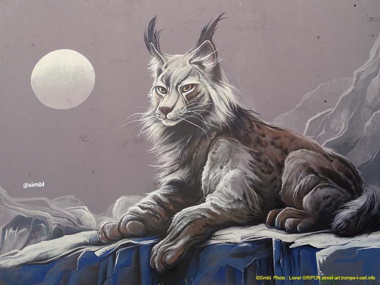 Lynx