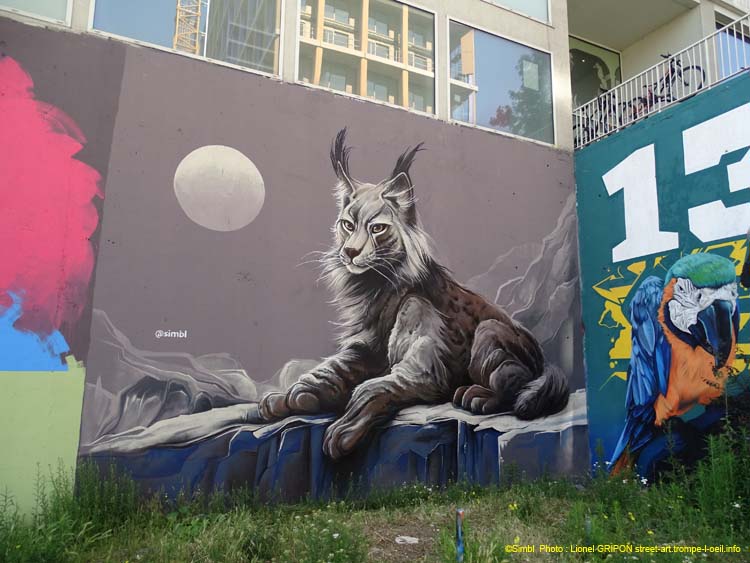 Lynx