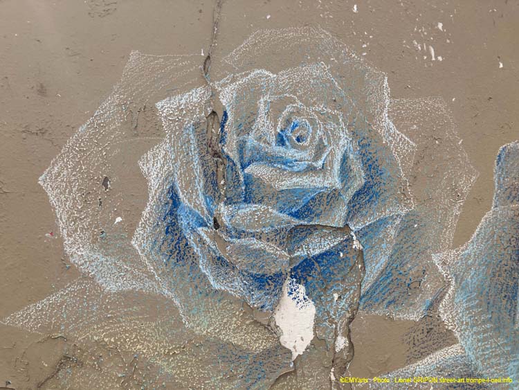 Roses bleues