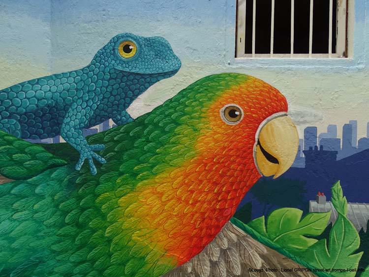 Lézard et perroquet