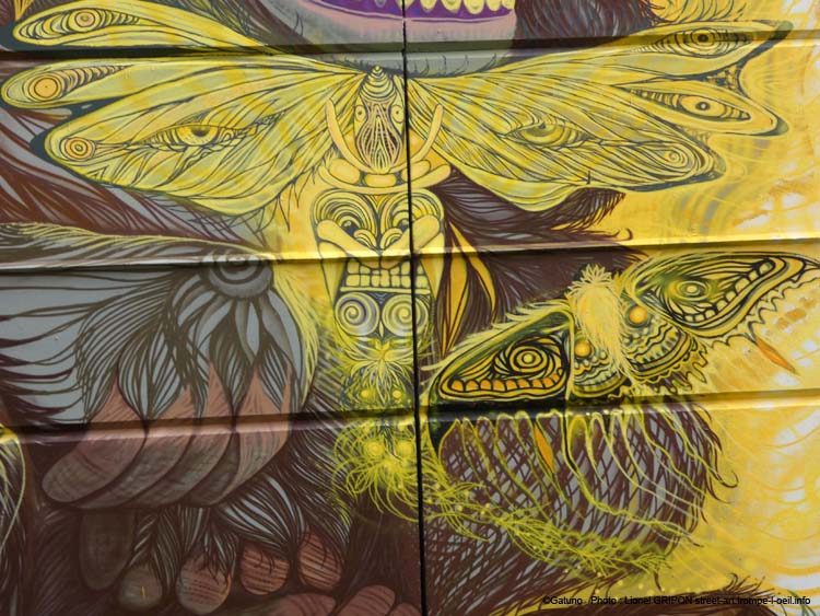 Gorille et papillons