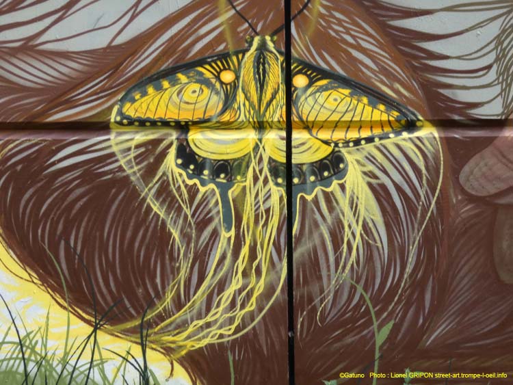 Gorille et papillons