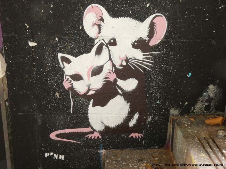 Souris chat