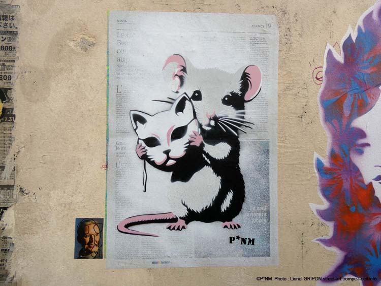 Souris chat-03