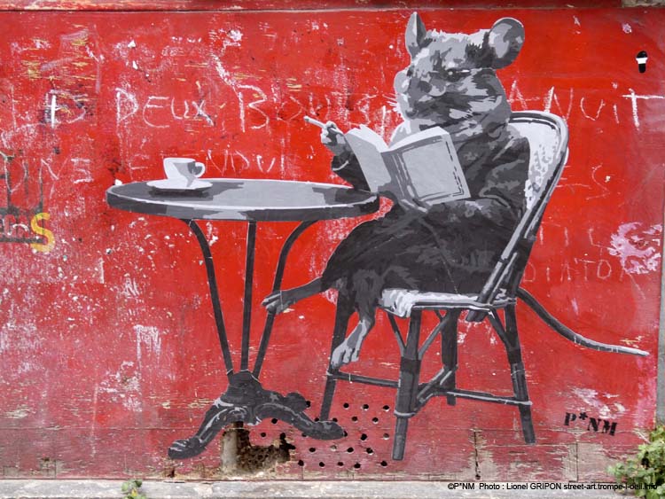 Souris en terrasse