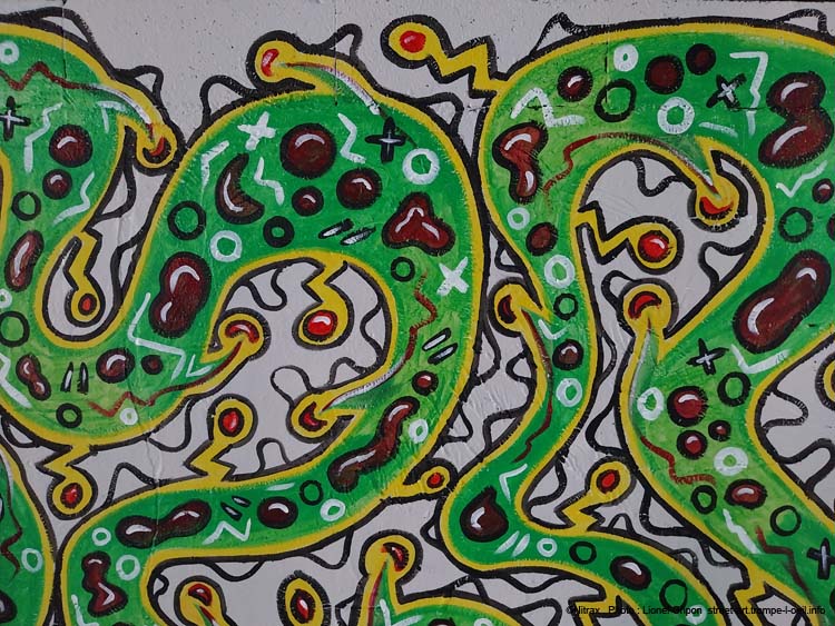 Plante carnivore
