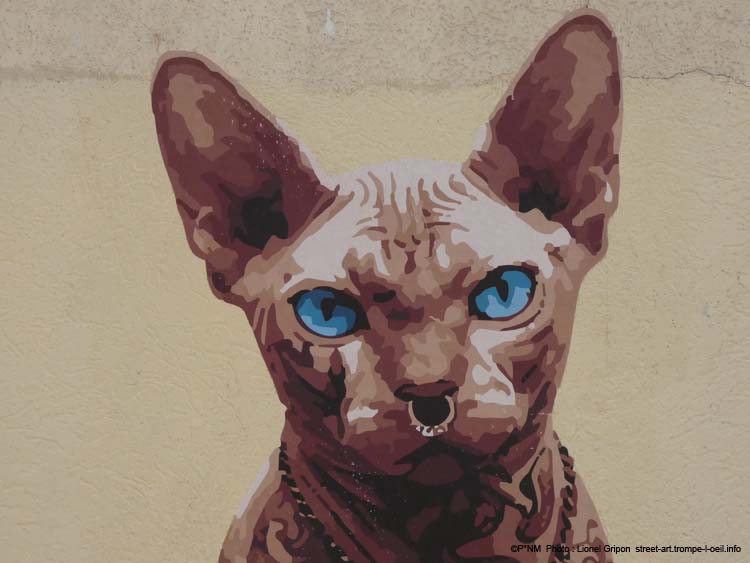 Le Chat Sphynx