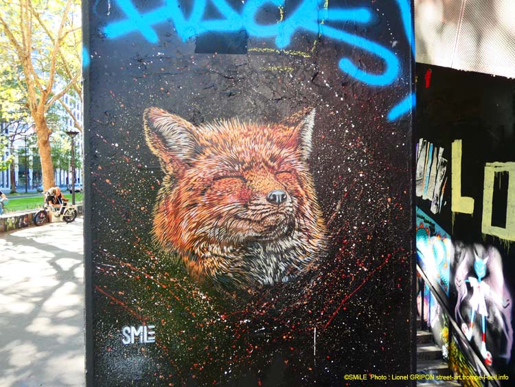 Renard roux-02