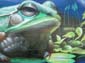 Le crapaud