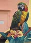 Faune dans la cité