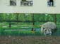 Parc des Guilands