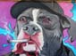 Chien fumeur