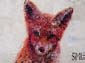 Renard roux-01