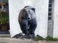 Ours brun-03