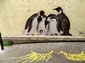 Lézarts-2025 Levalet-01