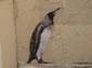 Lézarts-2025 Levalet-01