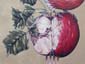 Pomme & Rouge-gorge