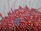 Calligraphie et pinceau-11
