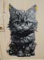 Chat qui parle