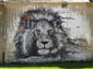 Roi lion N&B