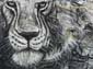 Roi lion N&B