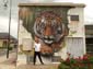 Tigre et trouée