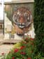 Tigre et trouée