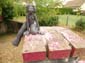 Henriette
